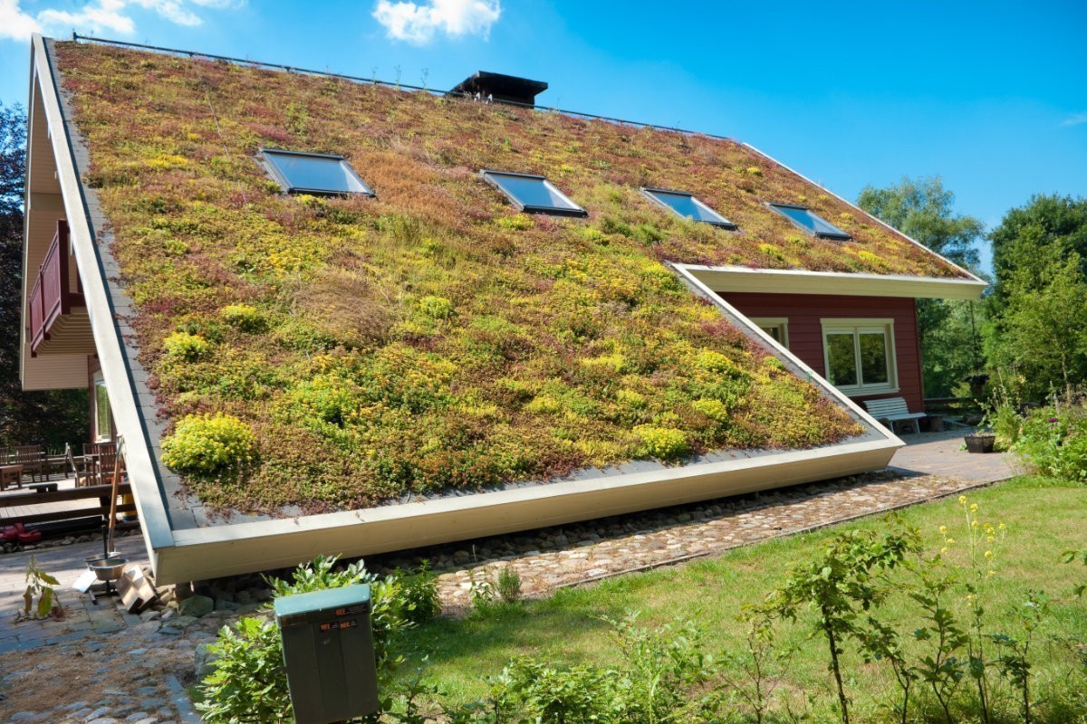 Green roof